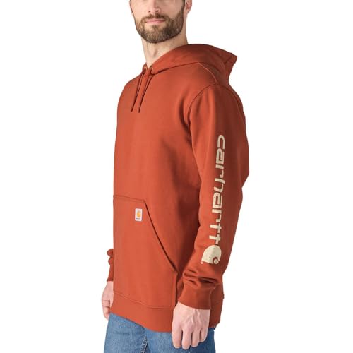 Carhartt Herre Hættetrøje Iconic Logo K288