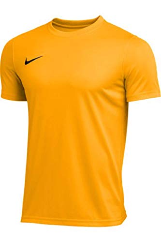 Nike Herre T-shirt Park BV6741-702