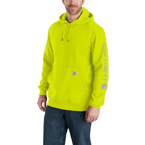 Carhartt Herre Hættetrøje Iconic Logo K288