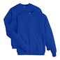 Hanes Herre Sweatshirt EcoSmart Fleece Crewneck AMZ9