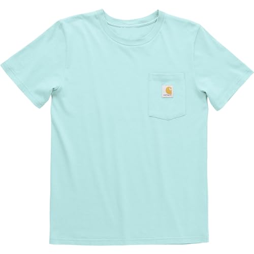 Carhartt Børn Kortermet T-Shirt Med Lomme CA6266