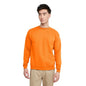 Hanes Herre Sweatshirt EcoSmart Fleece Crewneck AMZ9