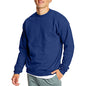 Hanes Herre Sweatshirt EcoSmart Fleece Crewneck AMZ9