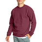 Hanes Herre Sweatshirt EcoSmart Fleece Crewneck AMZ9