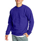 Hanes Herre Sweatshirt EcoSmart Fleece Crewneck AMZ9
