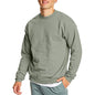 Hanes Herre Sweatshirt EcoSmart Fleece Crewneck AMZ9