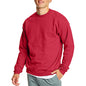 Hanes Herre Sweatshirt EcoSmart Fleece Crewneck AMZ9