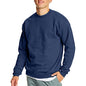 Hanes Herre Sweatshirt EcoSmart Fleece Crewneck AMZ9
