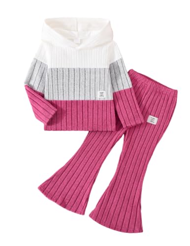 Pige Tøjsæt Hættetrøje Sweatshirt Leggings Efterår Vinter