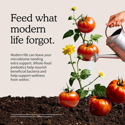 Garden of Life Dr. Formulated Probiotika til Kvinder 30 Kapsler