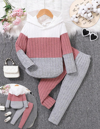 Pige Tøjsæt Hættetrøje Sweatshirt Leggings Efterår Vinter